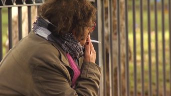 dia mundial sin tabaco: en uruguay 14,4% de las muertes pueden ser atribuidas al cigarrillo