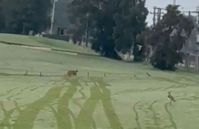 puma-la-tahona-golf-video-sábado-25