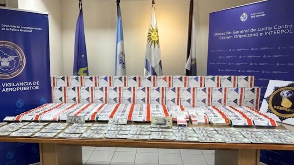 Desbarataron organización transnacional dedicada a ingresar medicamentos: incautaron más de USD 70.000 en efectivo