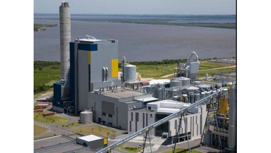 Hoy vence plazo para saber si UPM reinicia producción de celulosa