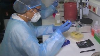 hay 5.537 casos nuevos de covid-19, cinco fallecidos y 29 pacientes en cti