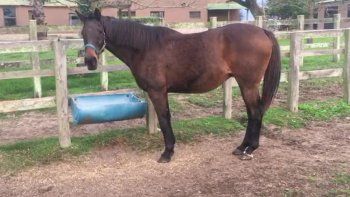 Subrayado | MICRO TURF 7 D JUN NUEVO