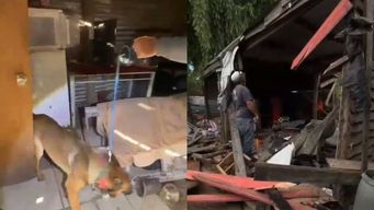 operacion himalaya: demolieron una vivienda donde incautaron droga, arma y municiones en maldonado