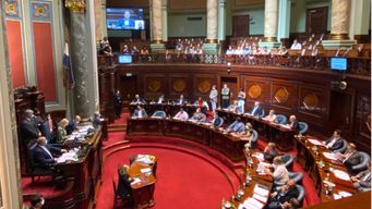senado voto pedido al gobierno para sacar iva a 19 alimentos y buscar acuerdo de precios