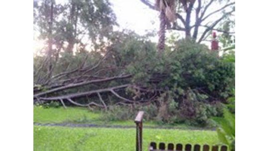 Murió una mujer en Salto por temporal con vientos de 120 km/h