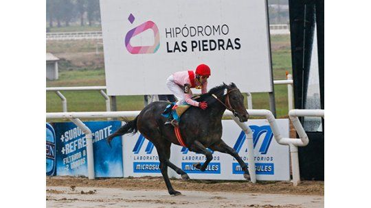 Tres días de actividad hípica para el fin de semana