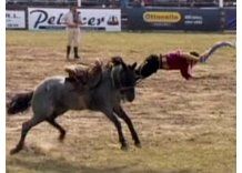 Jinete que sufrió terrible caída goza de buena de salud