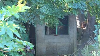 incendio fatal en belvedere: hallan el cuerpo de un hombre en el dormitorio