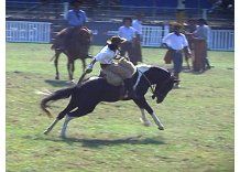 IM defiende jineteadas pero reconoce que se pueden mejorar
