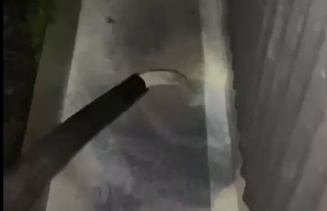 leche-productor-video