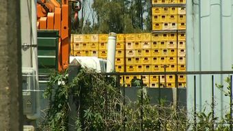 robaron cajones de cerveza de una distribuidora: la mercaderia hurtada esta valuada en 300 mil pesos