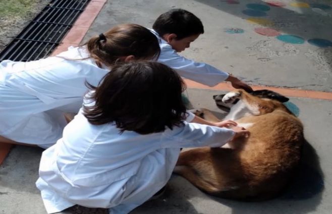 perra--lola--escuela-63.jpg