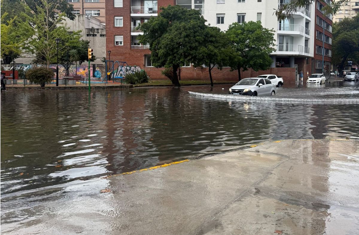 Videos: Maximiliano Correia, Subrayado. Videos: Maximiliano Correia, Subrayado.