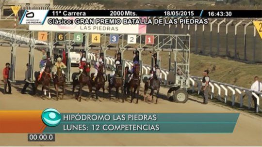 La fiesta máxima del turf canario se vive el lunes