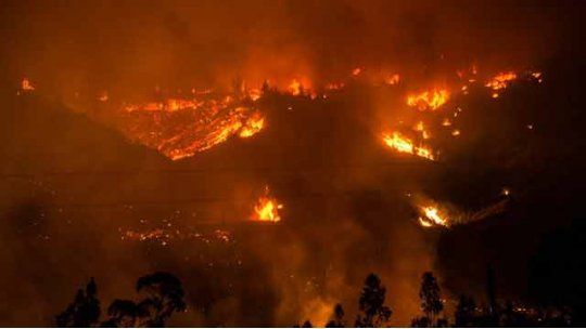 INCENDIO FORESTAL CHILE