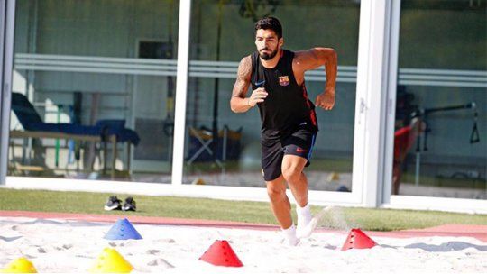 Suárez