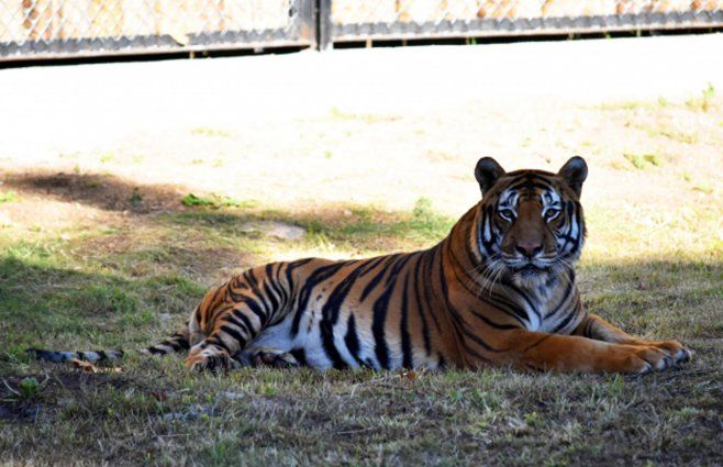 Foto de Archivo. Crédito: Intendencia de Montevideo