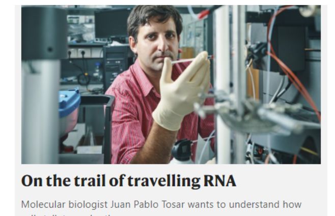 Tosar destacado nuevamente en las páginas de Nature. La foto pertenece a Pablo Alvarenga