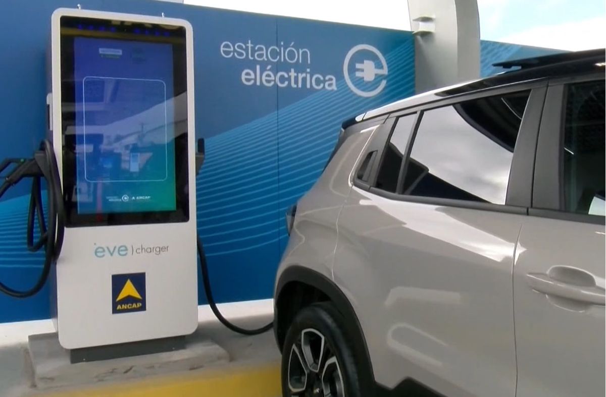 Unión de Vendedores de Nafta reclama más medidas del gobierno; pide revisión de incentivos para compras de autos eléctricos