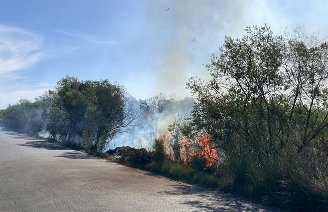 Bomberos trabajan en el incendio de Melilla, que por el viento amenaza propagarse hacia los humedales de Santa Lucía. Foto: María García.