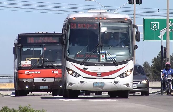 omnibus-transporte-suburbano-perimetral.jpg