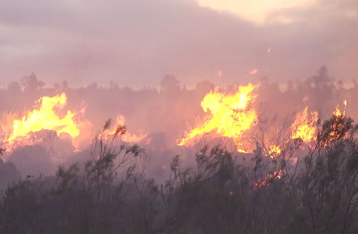 Incendios forestales activos en cinco provincias argentinas