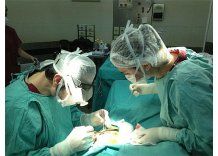 Proponen filmar las cirugías; MSP no está de acuerdo