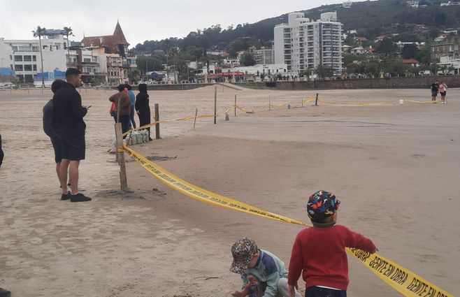 playa-piria-elefante