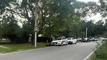 una mujer de 66 anos fue asesinada por su pareja en parque miramar; el hombre esta detenido