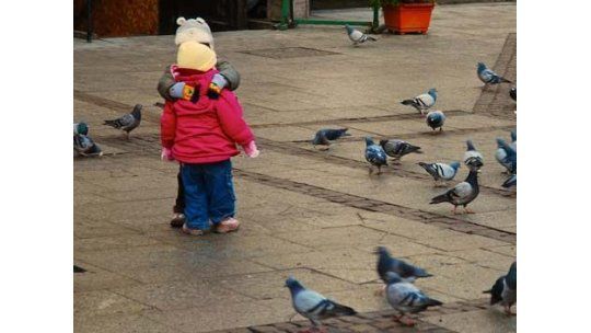 Hoy estará frío pero soleado; mañana desmejora