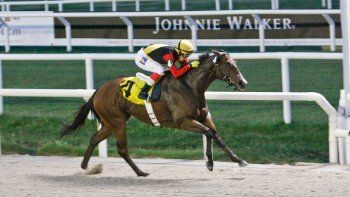 Subrayado | MICRO TURF 9 D ABR