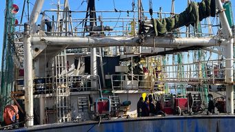 prefectura investiga buque chino con 28 tripulantes y 11 toneladas de calamares