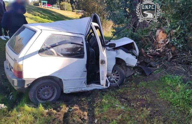 Policía Caminera