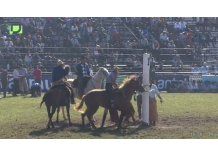 El dueño del caballo que murió en la Criolla dijo que fue un accidente