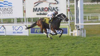 Subrayado | MICRO TURF 30 D AGO