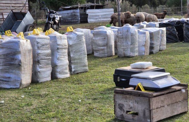La droga incautada en la chacra, en Punta Espinillo.