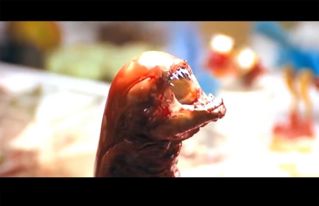 alien-40-años.jpg
