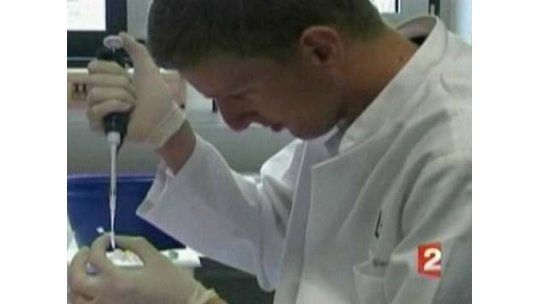 OMS: bacteria que mató 17 europeos es de una cepa desconocida