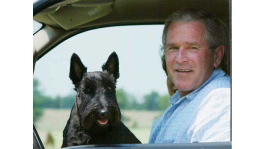 Los Bush reciben miles de condolencias por la muerte de su perro