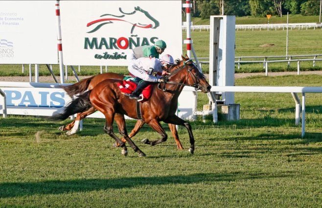 Turf uruguayo.&nbsp;