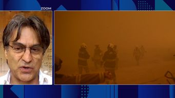 biologo chileno hablo sobre causas y efectos de los incendios