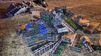 incautaron cargamento de cigarrillos de contrabando valuado en $1.000.000, procedente de salto