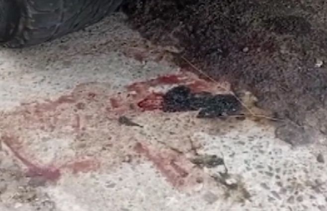 calle-artigas-denuncia-beba