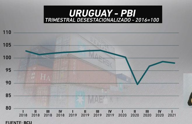 pbi-ninicolas-vivo.jpg