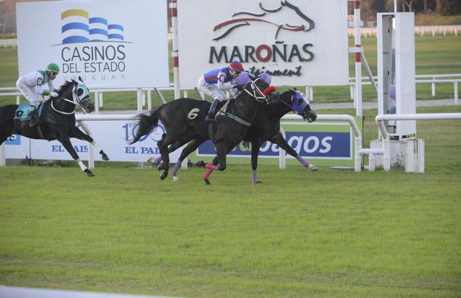 Kingdon turf (3).jpg