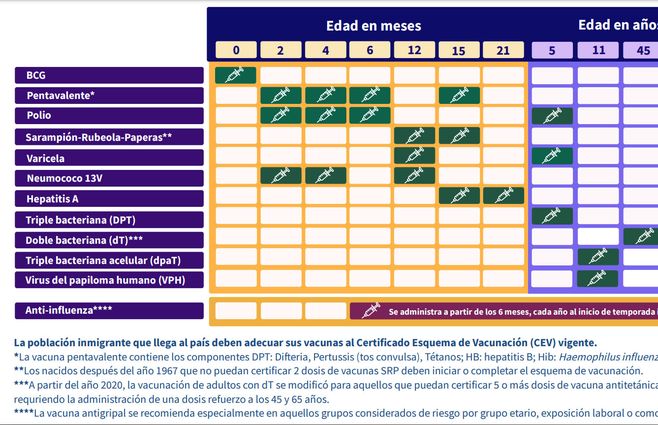 plan-nacional-vacunas-MSP-1.jpg