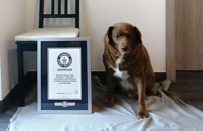 Foto: Record Guinness