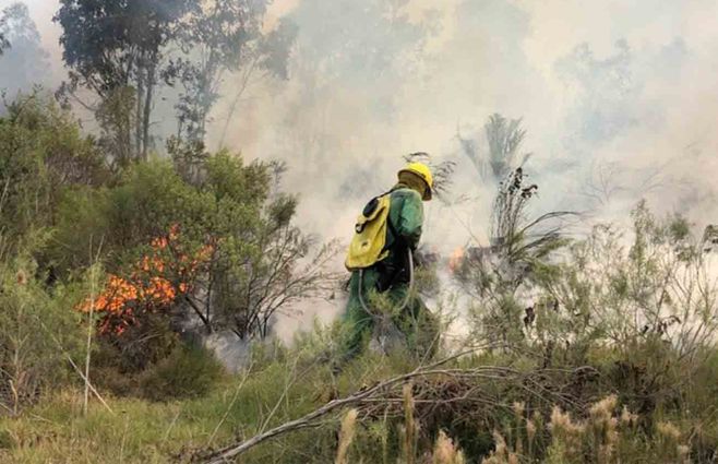 incendio-forestal-sauce.jpg
