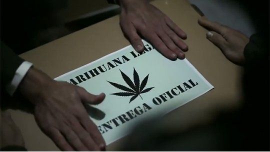 marihuana oficial
