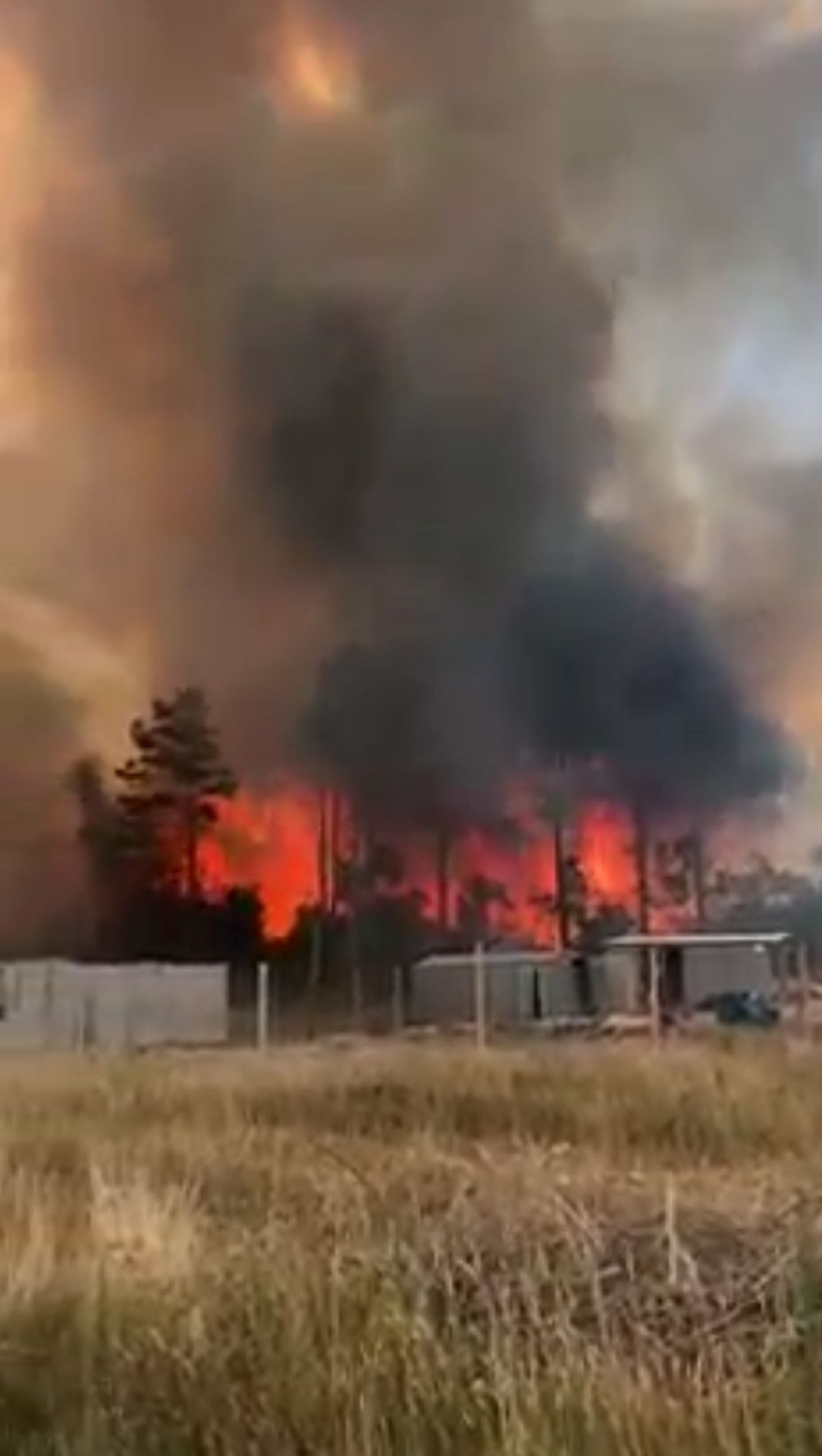 Incendio amenaza viviendas en ruta Interbalnearia en la zona de Neptunia